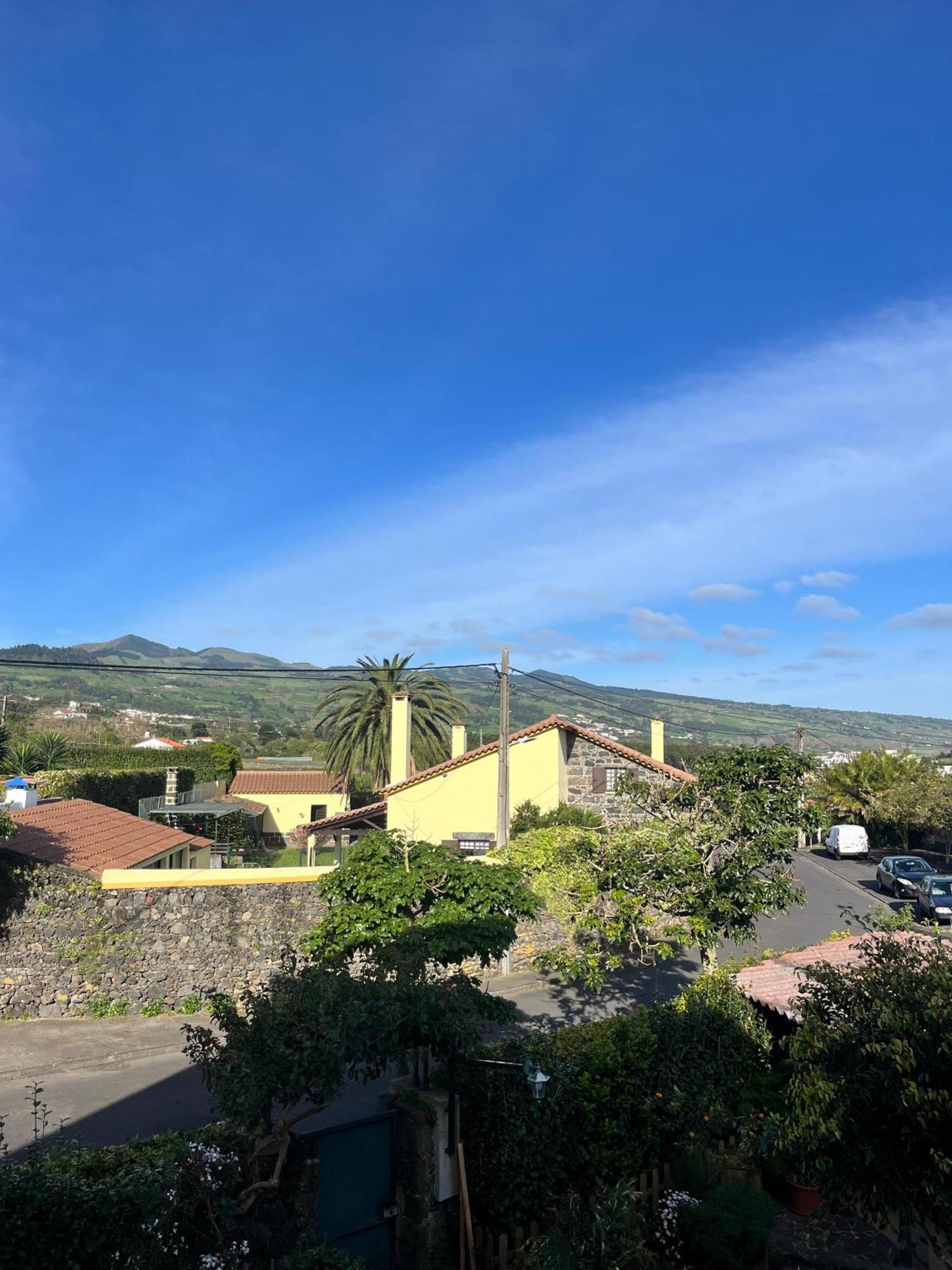 Casa Das Palmeiras São Vicente Ferreira Exterior foto